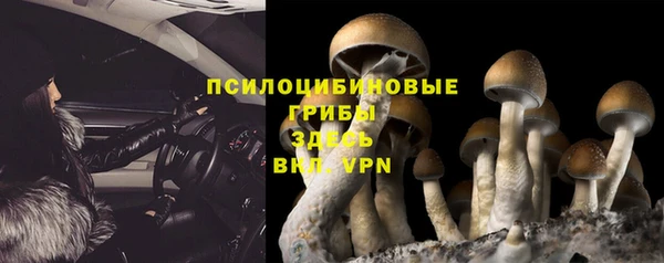 бошки Белоозёрский