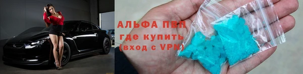 стаф Белокуриха