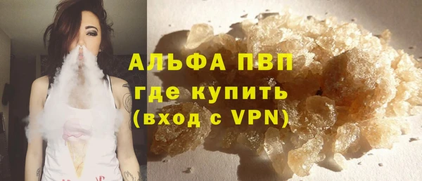 стаф Белокуриха
