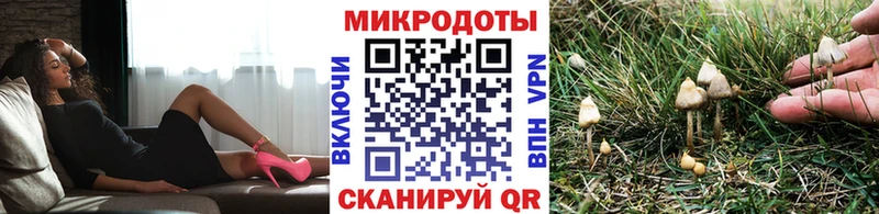 сколько стоит  Бутурлиновка  Псилоцибиновые грибы ЛСД 